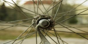 Istria in bici